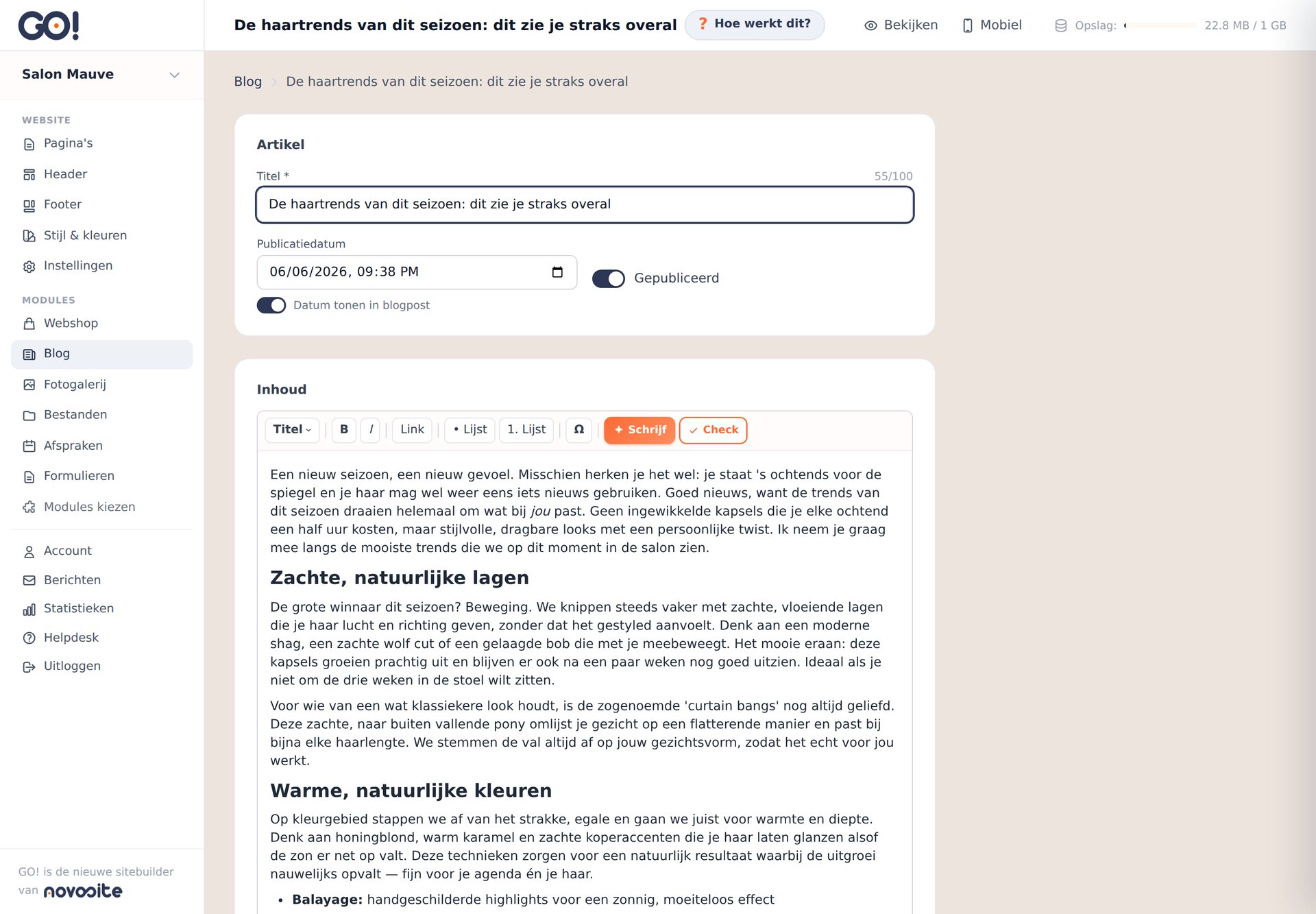 Het bewerkscherm van een blogartikel