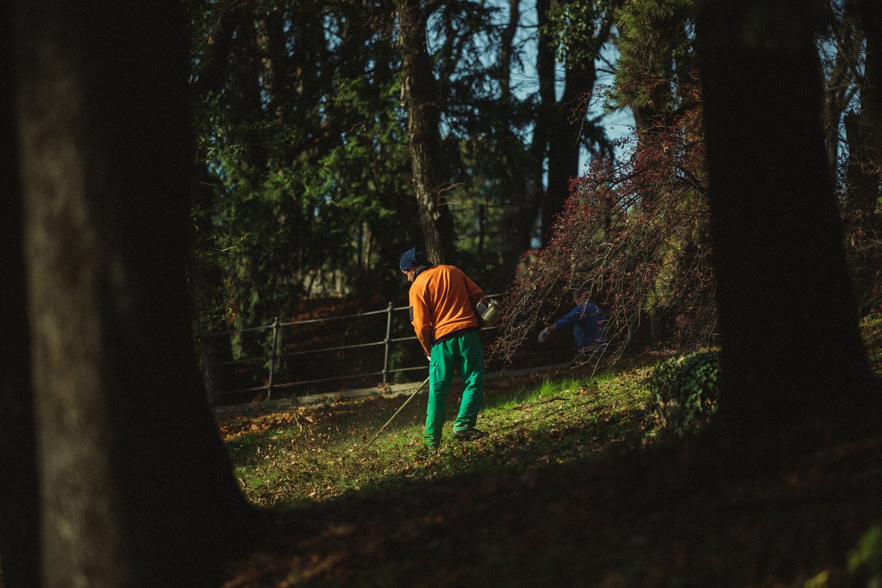 De tuinkalender: wat doe je per seizoen?
