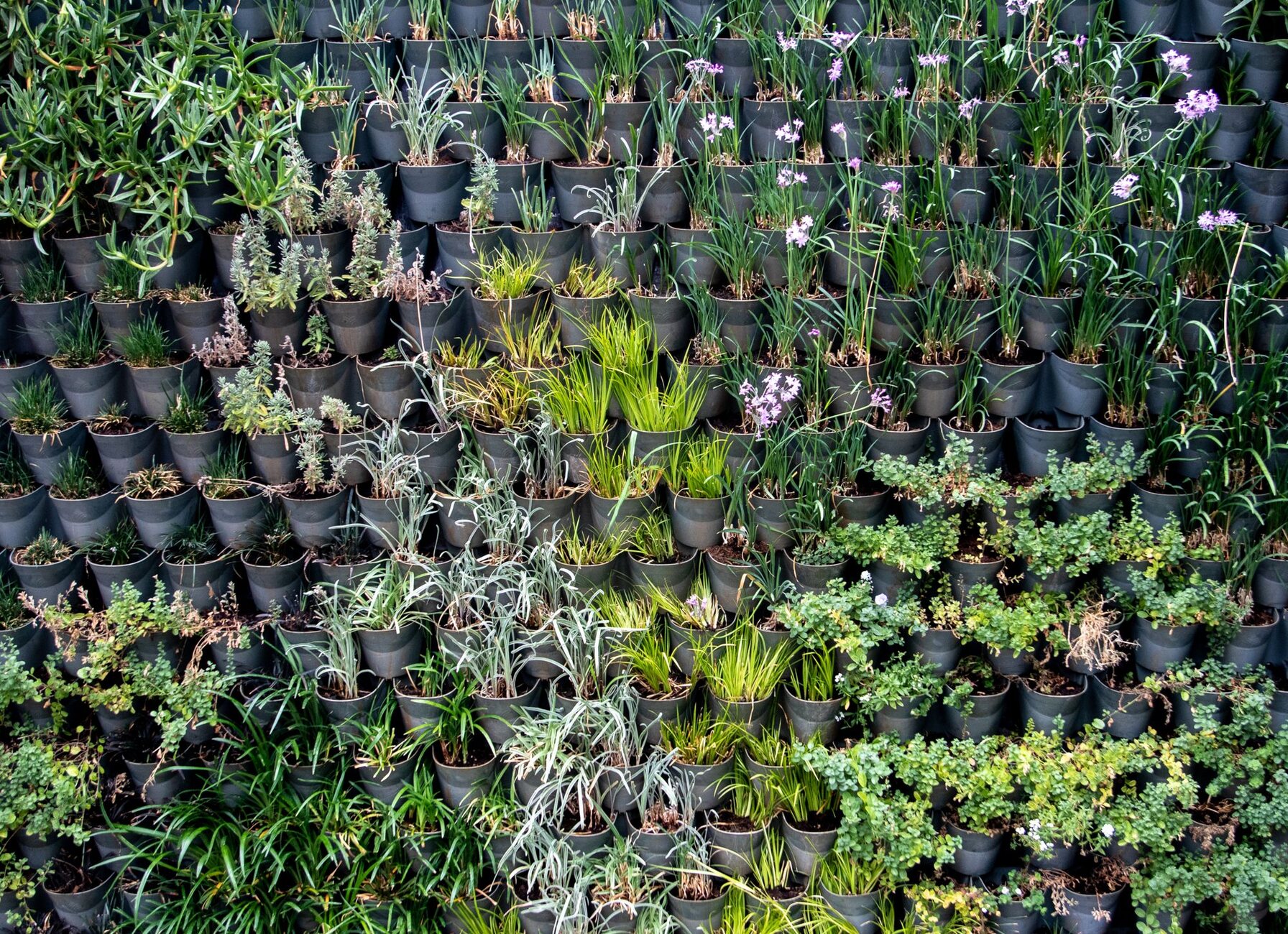 Duurzaam tuinieren: tips voor een groenere tuin