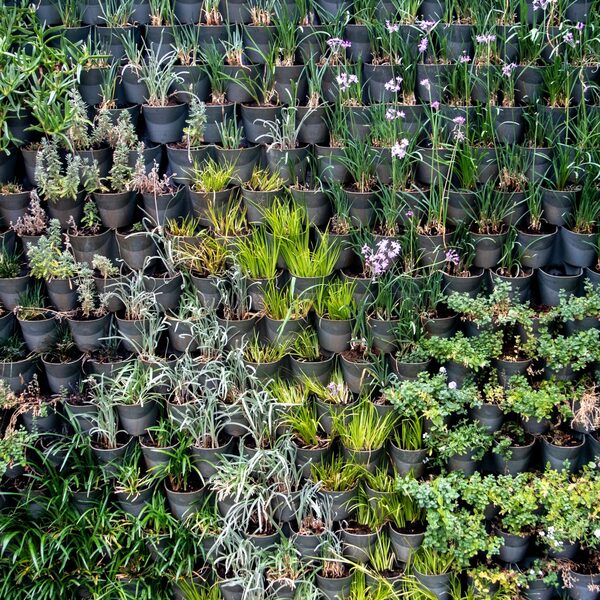 Duurzaam tuinieren: tips voor een groenere tuin