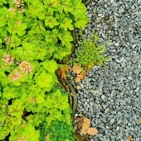 Onderhoud & beplanting, foto 9