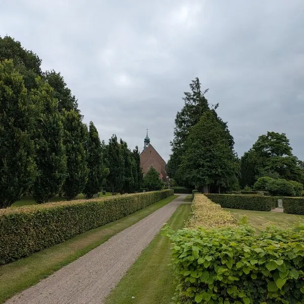 Onderhoud & beplanting, foto 6