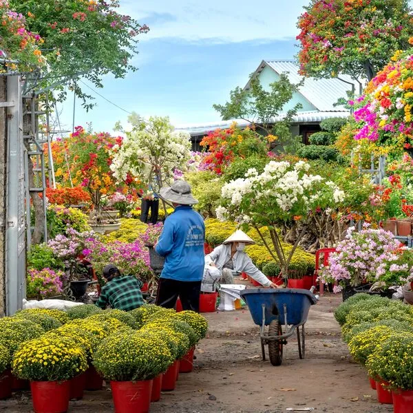Onderhoud & beplanting, foto 7