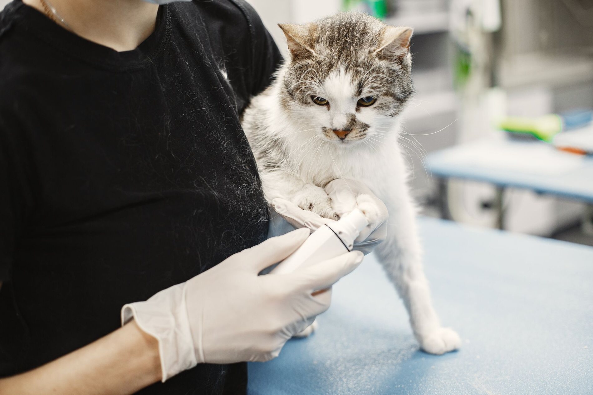 Consult & vaccinaties