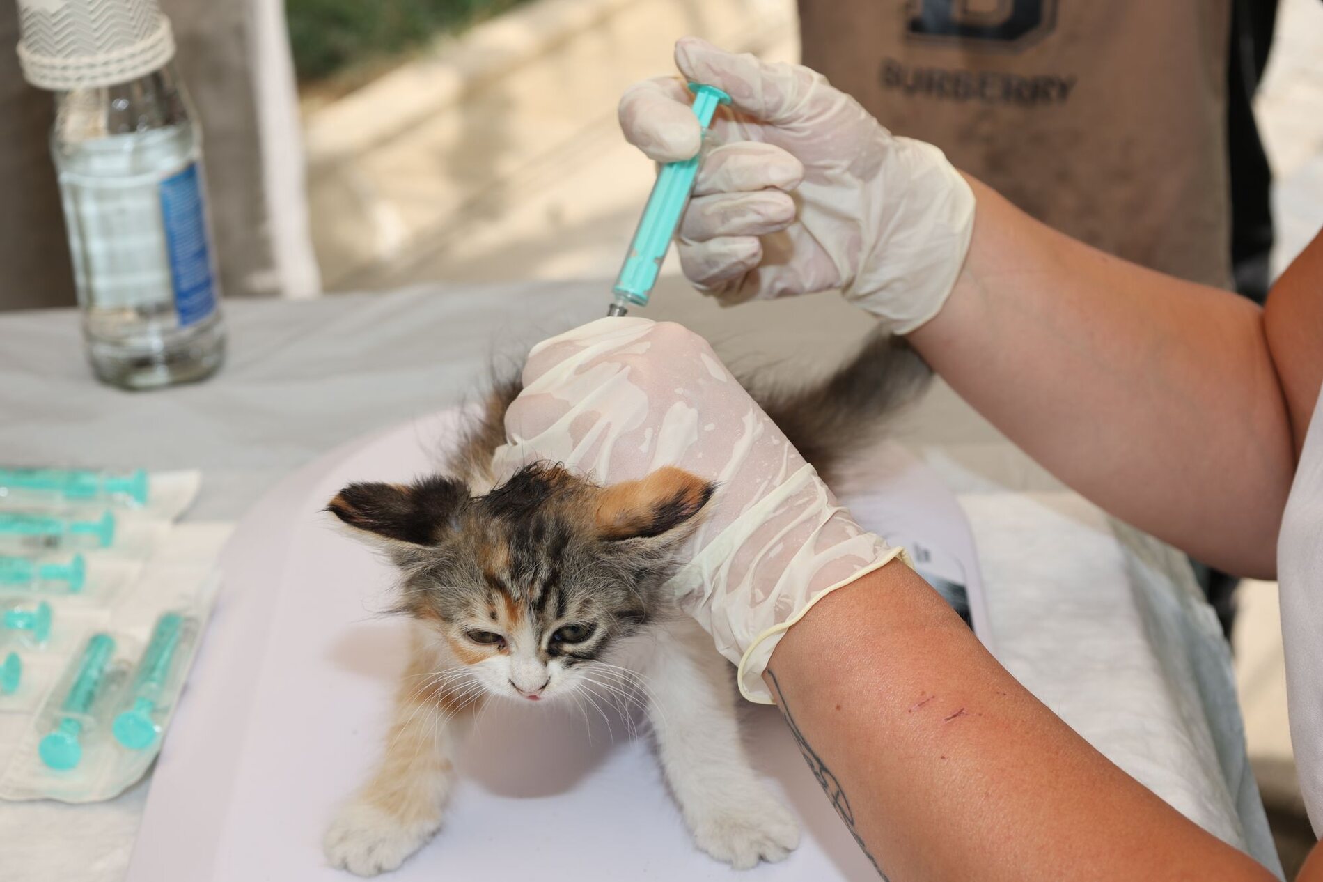 Consult & vaccinaties