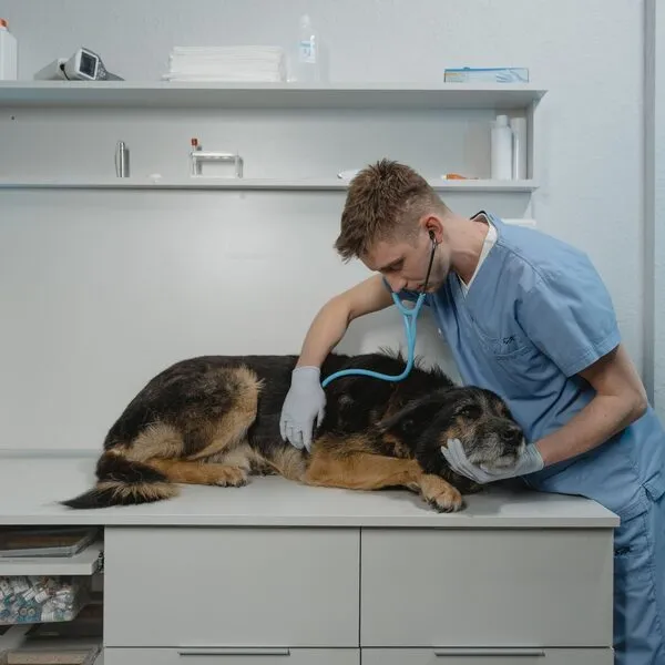 Een kijkje in de kliniek, foto 1