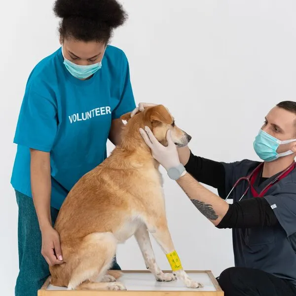 Een kijkje in de kliniek, foto 3