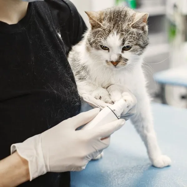 Een kijkje in de kliniek, foto 5