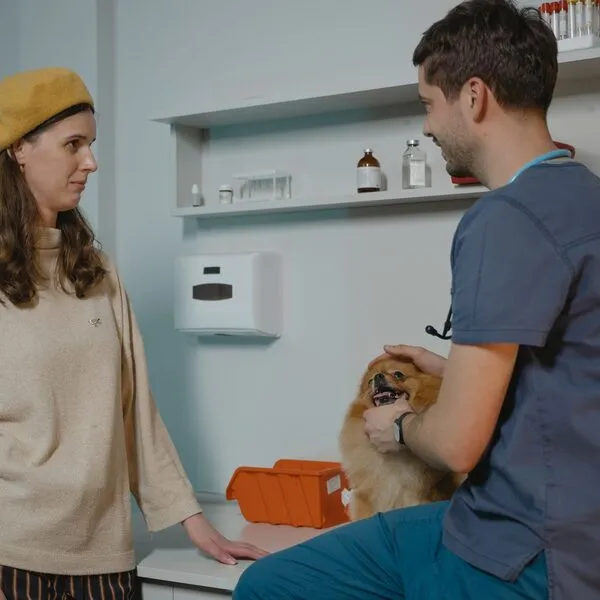 Een kijkje in de kliniek, foto 4