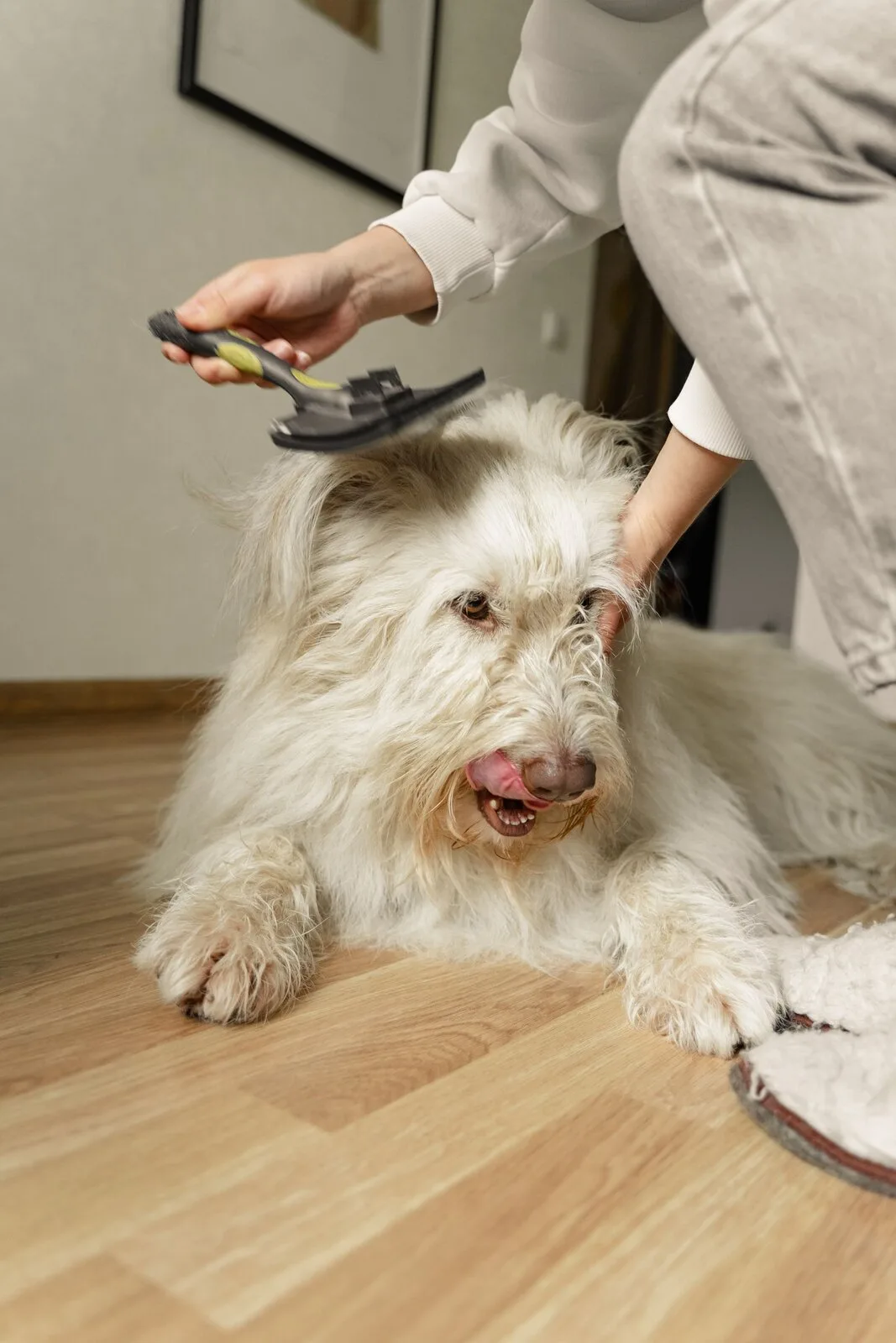 VitaPet Vachtborstel Deshedding