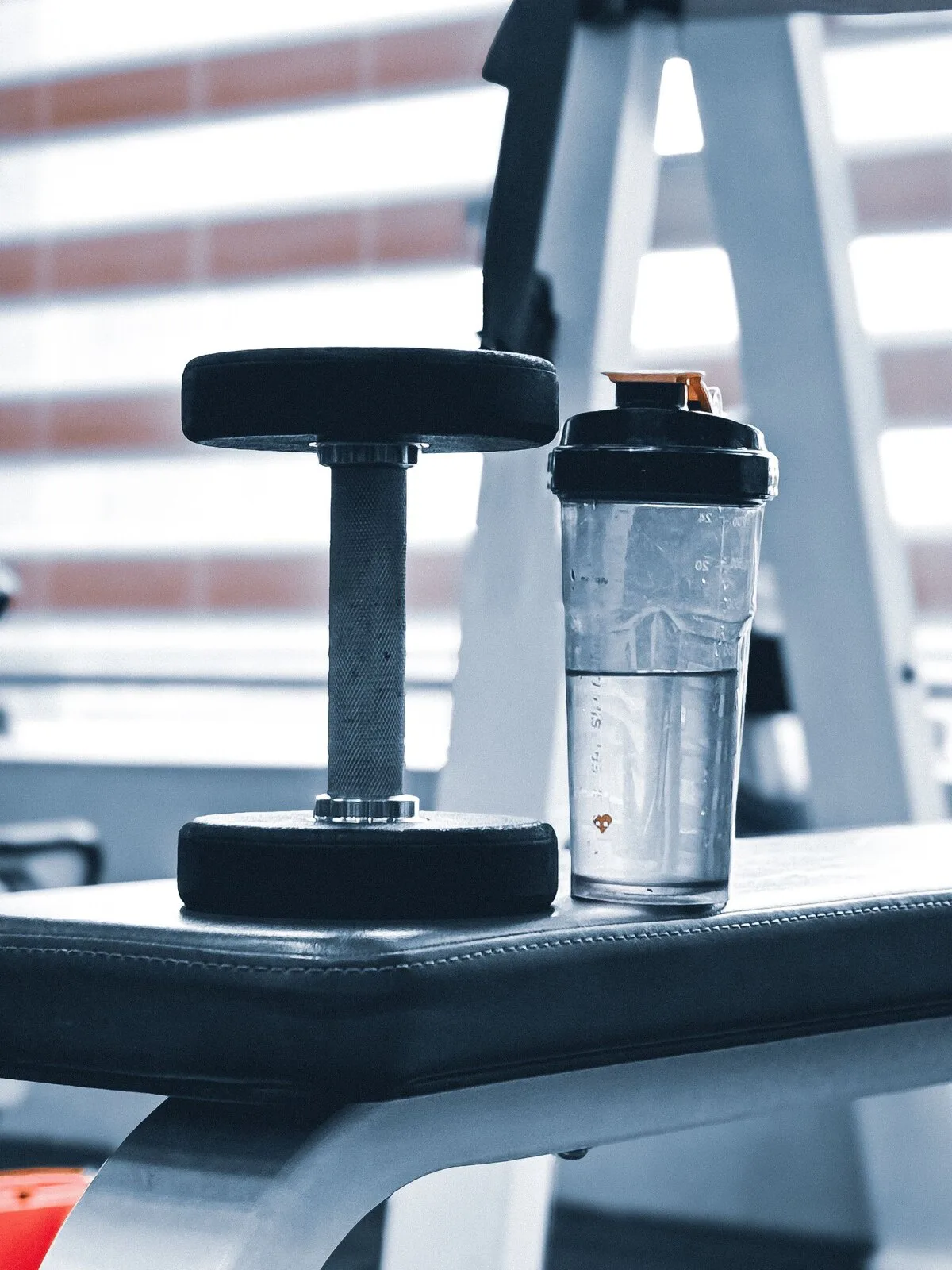 Pulse Shaker 600 ml