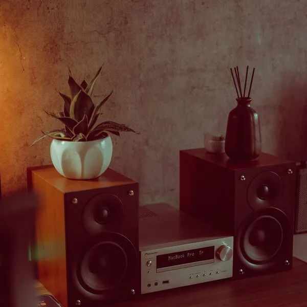 Auralis M2 boekenplankspeaker